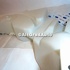Vas spalator parbriz Ford focus 2 2.5 st